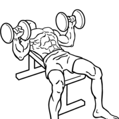 rp_300px-Dumbbell-bench-press-2.png
