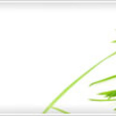 blog-fitnovatives-041414-1