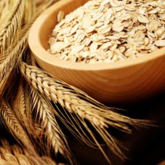 blog-fitnovatives-071514